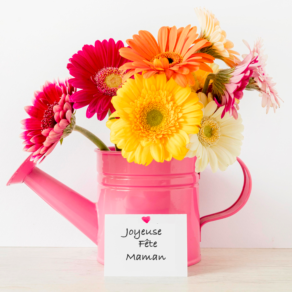 Fête des mères à Verdun